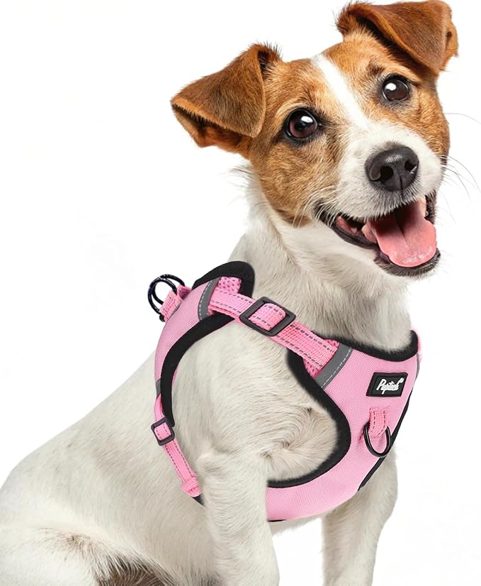 PUPTECK Dog Harness Small Sized Dog, Step in Adjustable Reflective Dog Vest Harness Escape Proof, No Pull Soft Padded Harness Easy Control, Pink, S