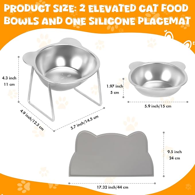 Elevated Cat Bowls, 2 Pack Raised Cat Food Water Bowls with Non-Slip Placemat, 15° Tilted Stand Anti Vomiting Stainless Steel Pet Food Feeding Dishes Plate for Cats Kitten Puppies Dogs Small Animals