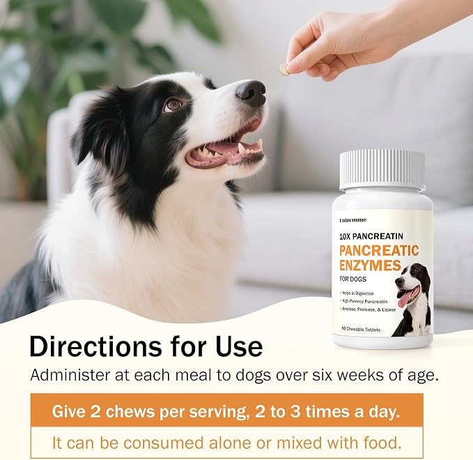 Pancreatic Enzymes for Dogs - 10x Pancreatin Formula for EPI Dog - Digestive Enzymes Tablets for Pet Pancreatic Concerns, Supports Buddy Digestive Stress, Healthy Weight Management - 90 Tablets
