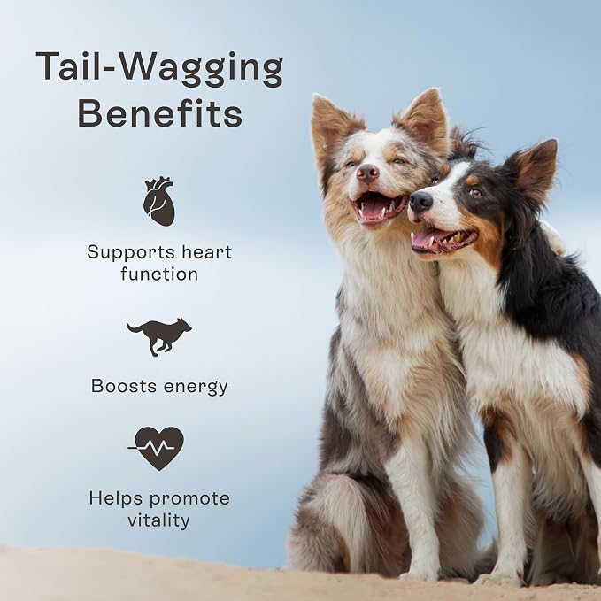 PawCo Magic Bar Healthy Functional Dog Treat – Soft, High-Protein Peanut Butter Bars with Pumpkin & Chicory Root, Supports Energy, Digestion & Overall Wellness – Pack of 8 (Heart Health)