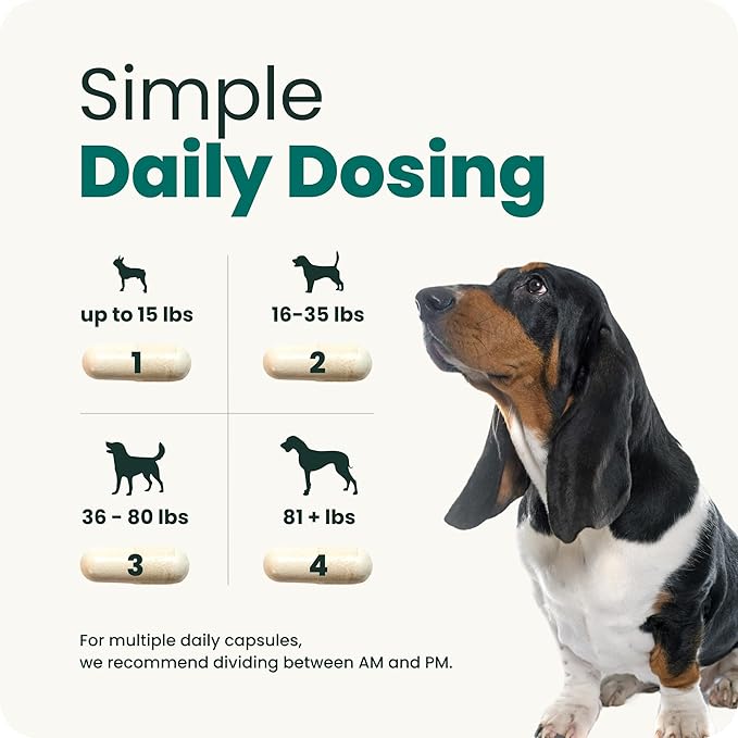 VetriScience Healthy Spine & Disc Easy-Open Capsules, Back and Spinal Support Chondroitin and Taurine Supplement for Dogs, Perfect for Dachshunds, Corgis, Frenchies, Basset Hounds & More, 180 Count