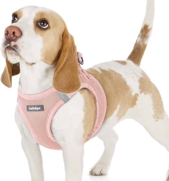 rabbitgoo Step-in Small Dog Harness, Puppy Vest for Small Sized Pet | Easy Put on and off, Lightweight, Soft, Breathable Quick-Dry Air Mesh for Comfortable Secure Walking, Pink M