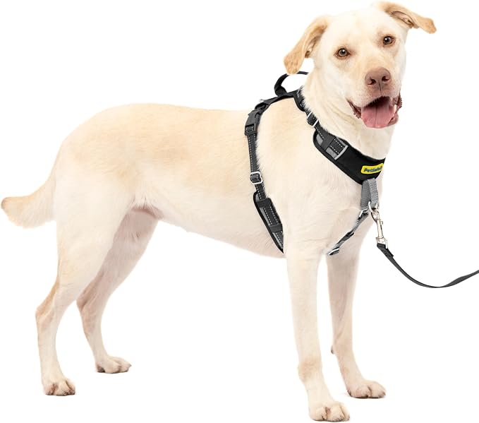 PetSafe Easy Walk Comfort No Pull Dog Harness, Black, Large | Stops Pulling on First Use with Front Martingale Loop, Full-Body Padding, 5-Point Adjustable Fit