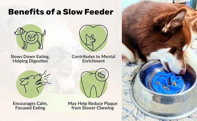 Slow Feeder Dog Bowl Insert – Silicone Anti-Choke Design with Suction Cups | Fits Most Bowls | Includes 3 Finger Toothbrushes for Pet Dental Care | Blue, Pink, Black