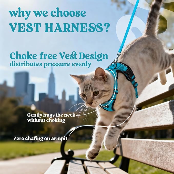rabbitgoo Cat Harness and Leash Set, Escape Proof Vest, Teal | Soft Breathable Mesh, Easy Adjustable Fit, Snap Buckles, Sturdy Clip, Reflective Strips, for Average Cats Walks, S