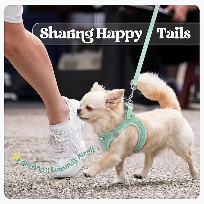 rabbitgoo Dog Harness Small Sized and Leash Set, Step-in Puppy Pet Vest | Light, Soft, Breathable Air Mesh, Easy on and Remove with Hook & Loop, Secure Reflective for Walking, Moss Green S