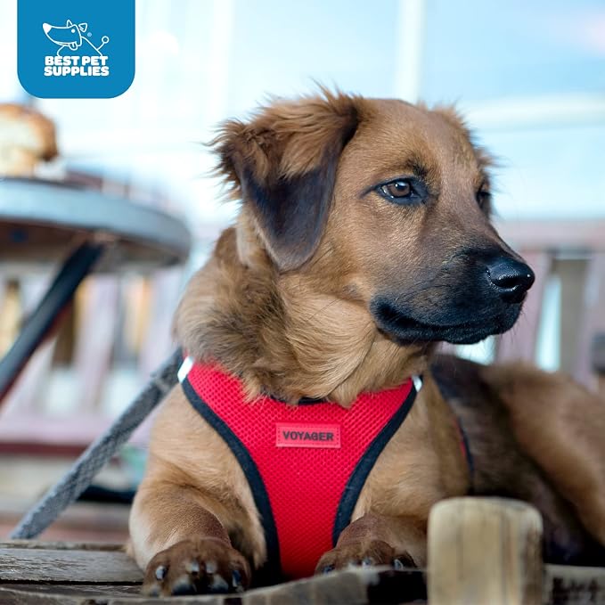 Voyager Step-in Air Dog Vest Harness - Blue, XXX-Small | 11 - 12" in Chest, Reflective Bands, All Weather Breathable Air Mesh, Cats Compatible, Lightweight, Fast Drying