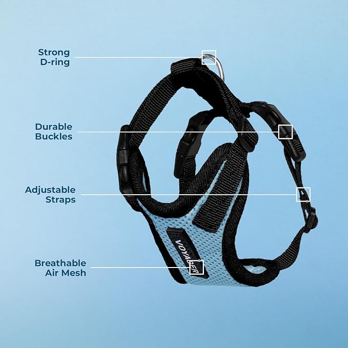 Voyager Step-in Lock Dog Harness - Baby Blue/Black Trim, X-Small | 13 - 16" in Chest, Adjustable, Breathable Air Mesh, Lightweight for Daily Walks, Strong Clips, Heavy Duty D-Ring