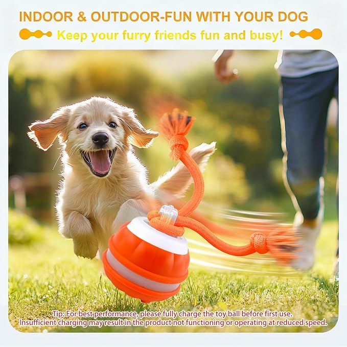 P06 Interactive Dog Toys Dog Balls, Electric Automatic Moving and Rolling Dog Toy with Rope for Small Medium Dogs, Fun Smart Puppy Toy s for Boredom & Training, Dog Toys to Keep Them Busy (Orange) | Auto-Moving Puppy Toys, 3 Modes with RGB Lights & Bir...