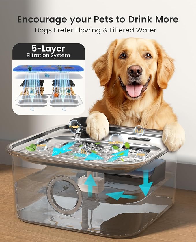 oneisall Dog Water Fountain, 2.6Gal/10L Stainless Steel Dog Water Bowl Dispenser with Deeper Drinking Aera & Washable Filter, Ultra-Quiet Pet Water Fountain for Small Medium Large Dogs(with 5 Fllters)