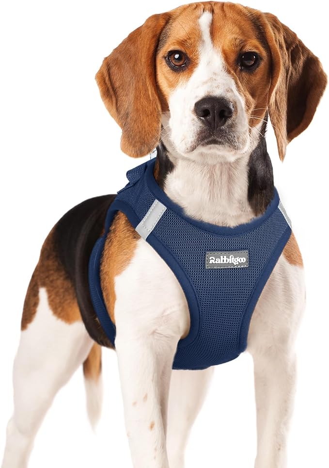 rabbitgoo Step-in Small Dog Harness, Puppy Vest for Small Medium Sized Pet | Easy Put on and off, Lightweight, Soft, Breathable Quick-Dry Air Mesh for Comfortable Secure Walking, Navy Blue XL