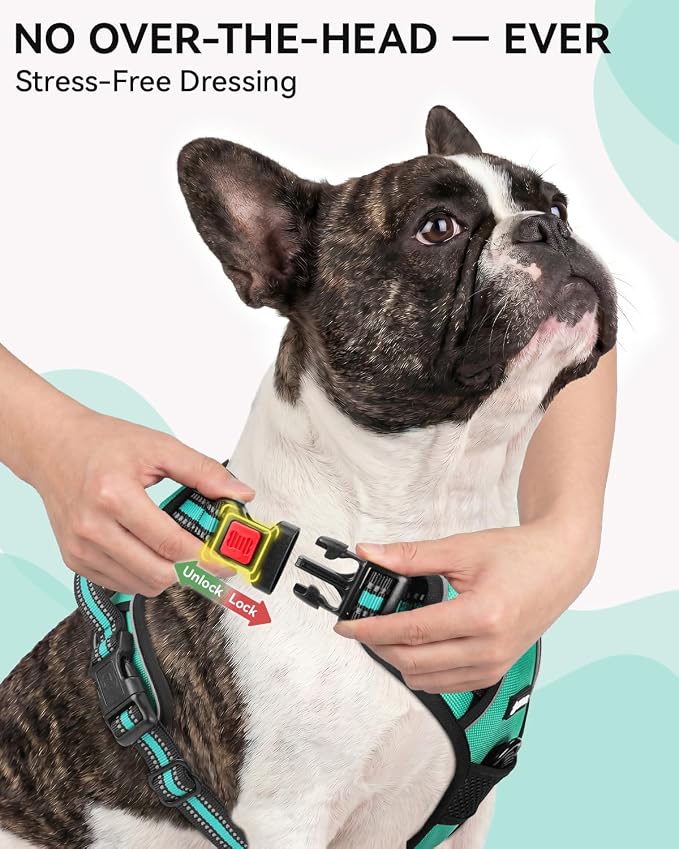 Joytale No Pull Dog Harness & Seat Belt, Easy On 3-Buckle, S, Teal | Front Clip Reduces Pulling, Escape-Resistant Design, Adjustable Fit, Soft Padding for Comfort, Secure Tether for Safer Travel