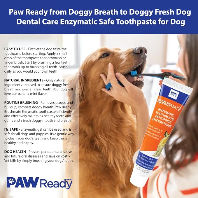 Paw Ready Doggy Breath to Doggy Fresh Dog Dental Care Kit Includes Enzymatic Toothpaste, Dual Brush Head Toothbrush with Angled Bristles and Blue Bite Block to Gently Keep Pets Jaw Open (Blue, Medium)