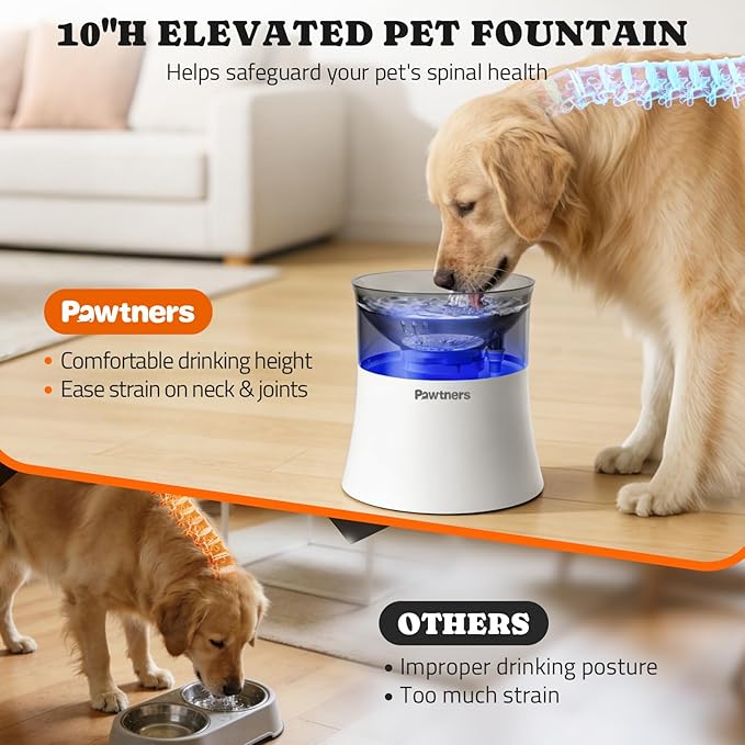 Pawtners Dog Water Fountain with Vortex Filter, 1 Gal, Medium Fountain