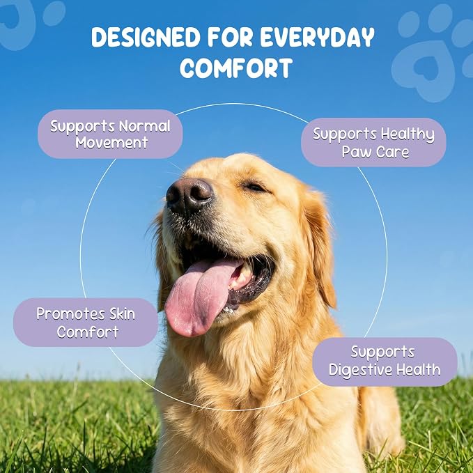 Dog Allergy & Itch Support - Omega-3 Supplement for Dogs - 200 Soft Chews for Immune Support, Skin & Coat Health, and Seasonal Allergy Support