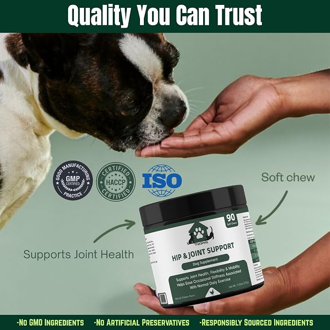 Dog Joint Supplement Chews - Glucosamine 600mg MSM 300mg Chondroitin Turmeric Green Lipped Mussel Collagen - Hip and Joint Chews for Senior & Active Dogs All Breeds - 90 Soft Chews Chicken