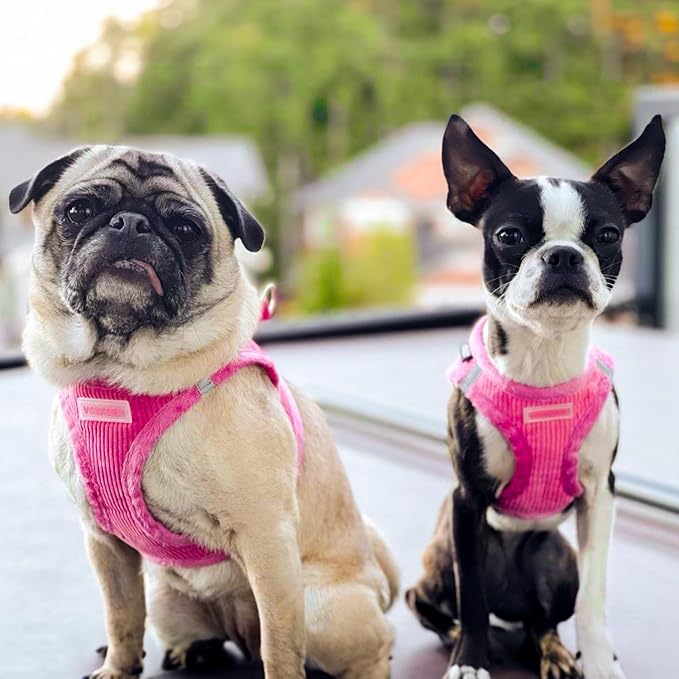 Best Pet Supplies Voyager Step-in Plush Dog Harness - Soft, Step in Vest Harness and Reflective Dog 5 ft Leash Combo with Neoprene Handle for Small and Medium Dogs, Fuchsia Corduroy, S