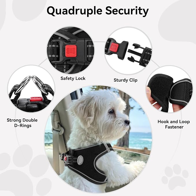 Joytale Step-in Dog Harness, Soft Breathable Mesh, Black M | Adjustable Fit for Small Dogs, Easy Step-in with Secure Fastener, Even Chest Pressure, Reflective For Night Safety, Washable