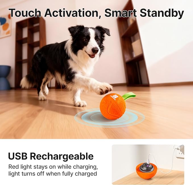 Potaroma Dog Ball with Rope Handle, Motion Activated Bouncing E-TPU Toy | Type-C Fast Charging, 3 Speed Modes, Gentle on Teeth, Medium & Large Breeds 35 lbs Up, Not for Aggressive Chewers, 3.2 Inches