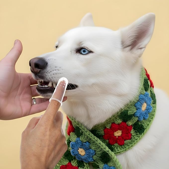 10 Pieces Dog Finger Tooth Brushing Kit, Finger Toothbrush for Cat Dogs Puppy Kitten Fingers Toothbrushs with Silicone Bristles Cat Teeth Cleaning Brush Pet Dental Care & Teeth Cleaning for All Pets