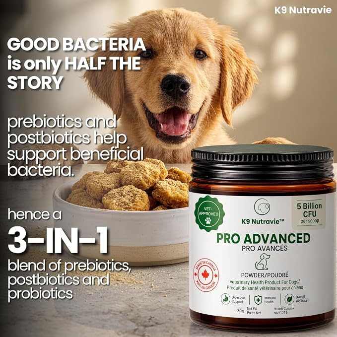 Dog Probiotic Powder for Digestive Support | 5 Billion CFU | Gut Health & Immunity Support | Mix-in Powder | 60g | Unflavoured (60g)