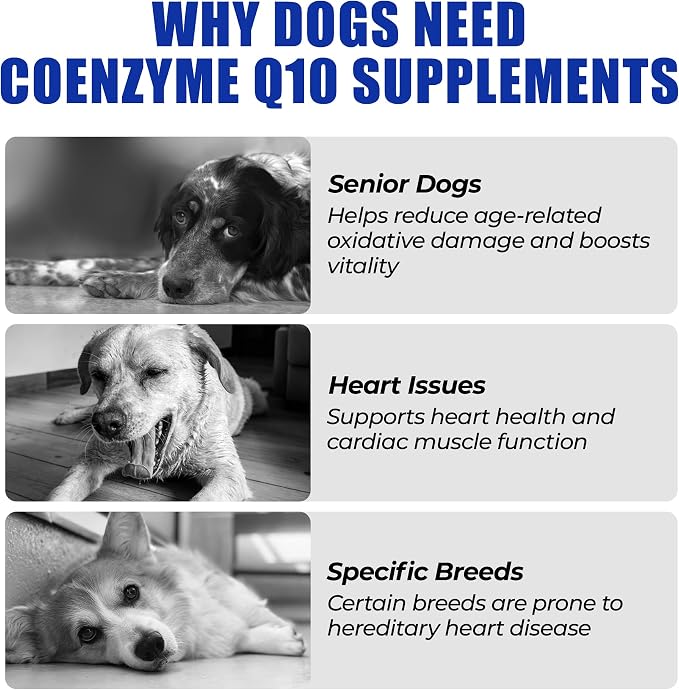 Just Try CoQ10 Heart Supplement Chews for Dogs, Taurine Chicken Flavor