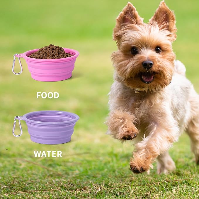 SLSON Macaron Collapsible Dog Bowl, 2 Pack, Small, Rose & Violet