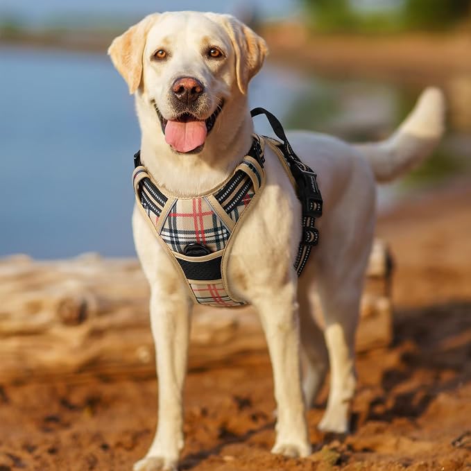rabbitgoo Dog Harness, No Pull Medium Sized with 2 Leash Clips, Pet Vest | No Choke with Handle, Adjustable Soft Padded, Reflective, Easy Control for Walking, Beige Plaid, Medium