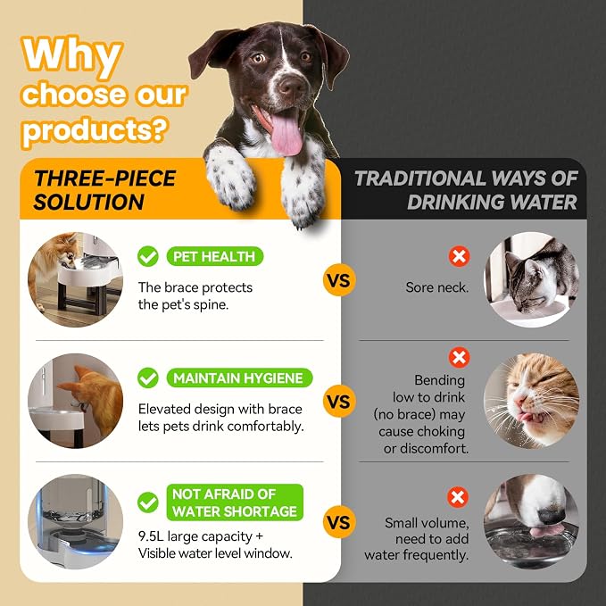CZPET Elevated Dog Water Bowl Dispenser for Large Dogs,2.5 Gallon Tall Raised Pet Waterer Stand,Relieve Neck Pressure,Large Capacity and Drinking Area Noise-Free for Pets (9.5L+Stand,White)
