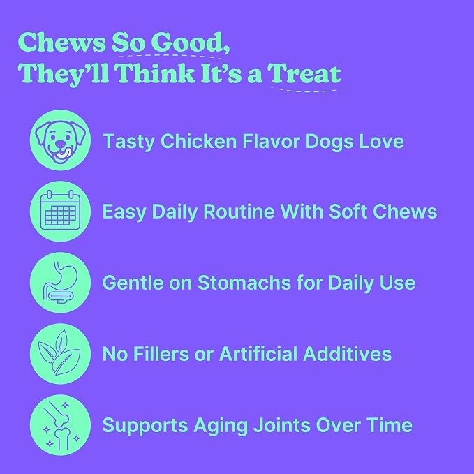 Dog Hip & Joint Chews – Advanced Joint Support Supplement for Dogs, Chicken Flavor with Glucosamine, Chondroitin & MSM, Supports Mobility, Flexibility & Comfort, 120 Count
