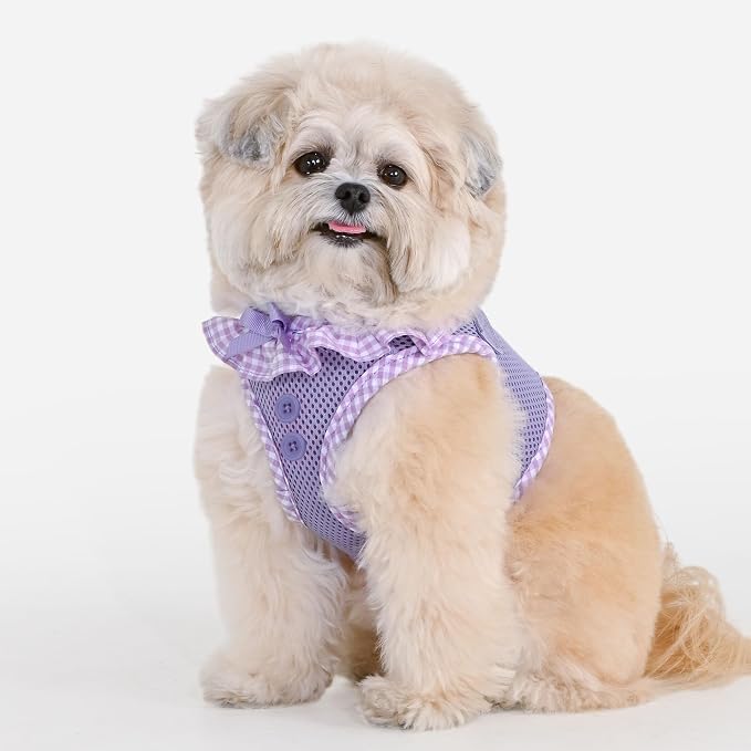 Puppia Vivien Dog Vest Harness B (Step-in) Fashionable Mesh Spring Summer Harness for Small Dogs, Violet, Small