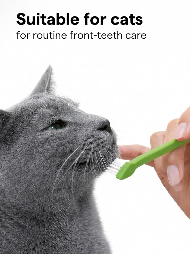 Pet Toothbrush Set of 6 for Dogs & Cats - Dual-Head Dog Toothbrush with Soft Nylon Bristles - Long Handle for Daily Dental Care - Home Use Toothbrush Pack for Small to Large Breed Pets - eBook + App
