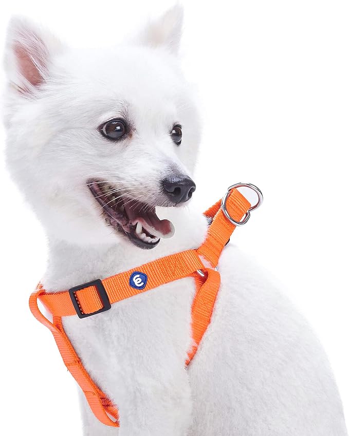 Blueberry Pet Essentials Step-in Dog Harness, Small Size | Adjustable Florence Orange Vest | Classic Solid Nylon for Boy & Girl Dogs, Chest Girth 16.5" - 21.5"