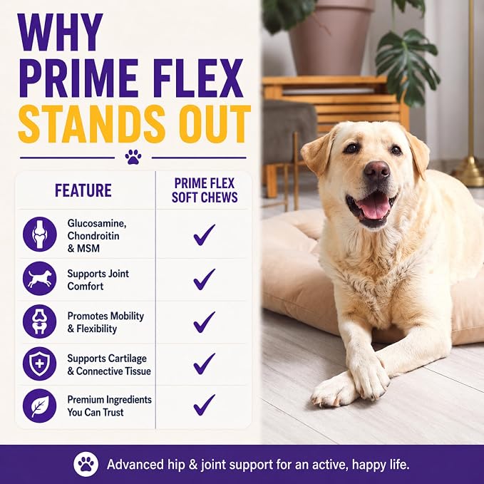 Pet Co. Prime Flex Soft Chews for Dogs, Beef Flavor, 60 Count