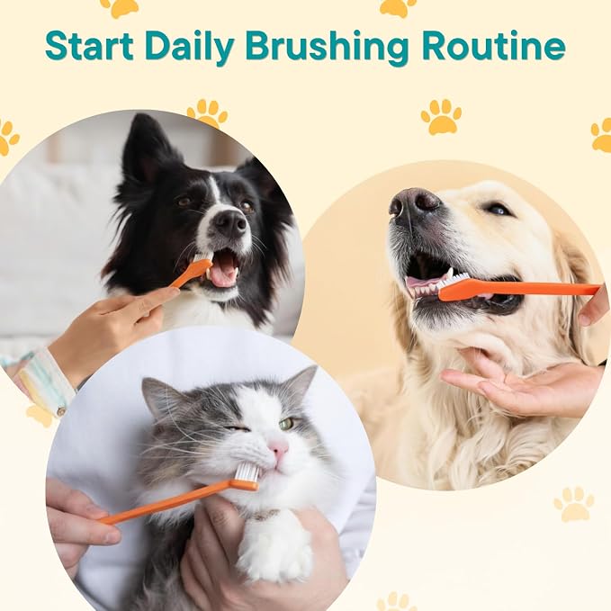 Dog Toothbrush Set of 10 - Cat Dog Dual Headed Toothbrushes for Small to Large Pets, Double Sided Long Handed Toothbrush Pet Teeth Cleaning Puppy Suitable Most Pets Cleaning Brushes