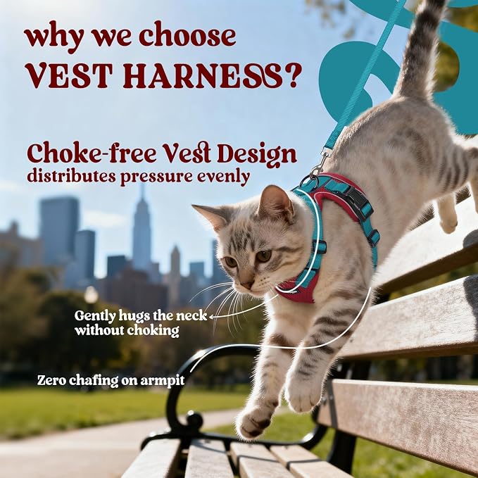 rabbitgoo Cat Harness and Leash Set, Escape Proof Vest, Red & Teal | Soft Breathable Mesh, Easy Adjustable Fit, Snap Buckles, Sturdy Clip, Reflective Strips, for Average Cats Walks, S
