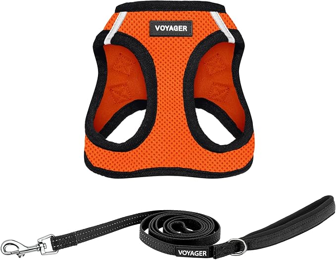 Best Pet Supplies Voyager Step-in Air All Weather Mesh Harness and Reflective Dog 5ft Leash Combo with Neoprene Handle, for Small, Medium and Large Breed Puppies - Orange/Black Trim, X-Large