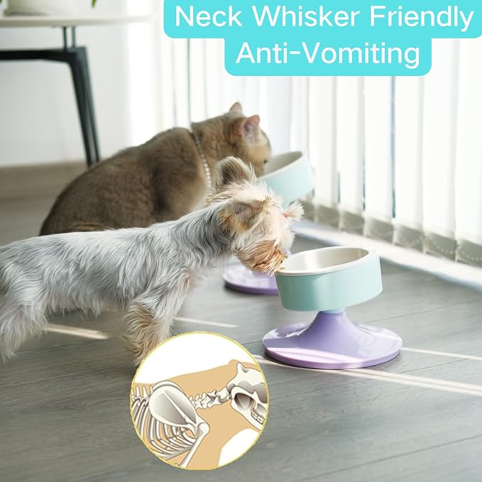 Elevated Raised Cat Pet Bowls - 15°Tilted 3 Heights Adjustable Indoor Cats Food Dish Stand, Cute Pet Water Feeder Ceramic Bowl, Neck Whisker Friendly & Anti-Vomiting Non Slip Kitten Puppy Supplies