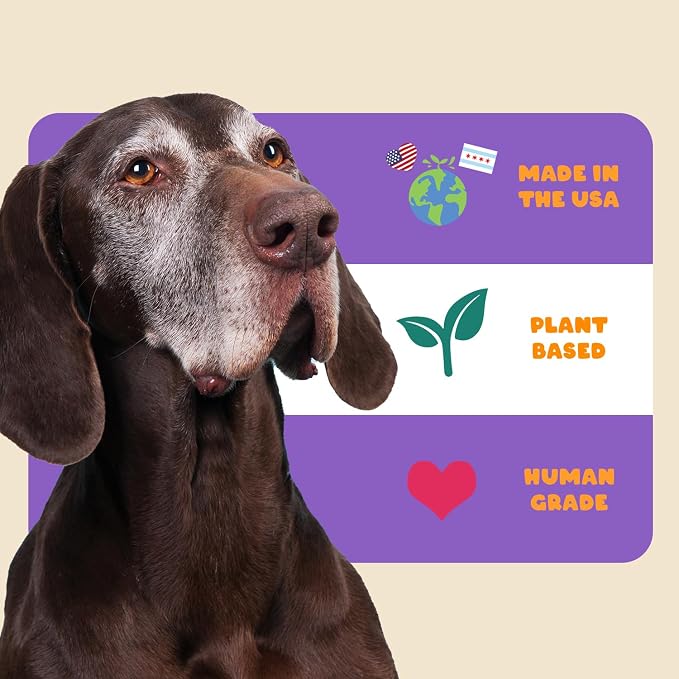 Petipet Hip & Joint Supplement for Dogs - Glucosamine & Tumeric Soft & Chewy Treats - Anti-Inflammatory Chews for Joint Health Support, Arthritis, Pain Relief - for Small, Medium, Large Dogs