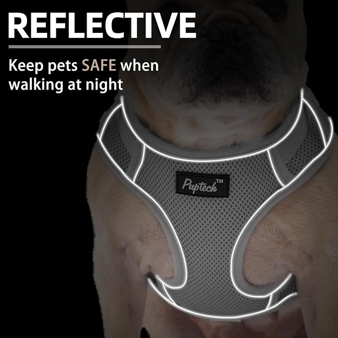 PUPTECK Small Dog Harness and Leash Set, No Pull Adjustable Puppy Cat Harness, Reflective Soft Mesh Pet Vest Small Sized, Grey, L