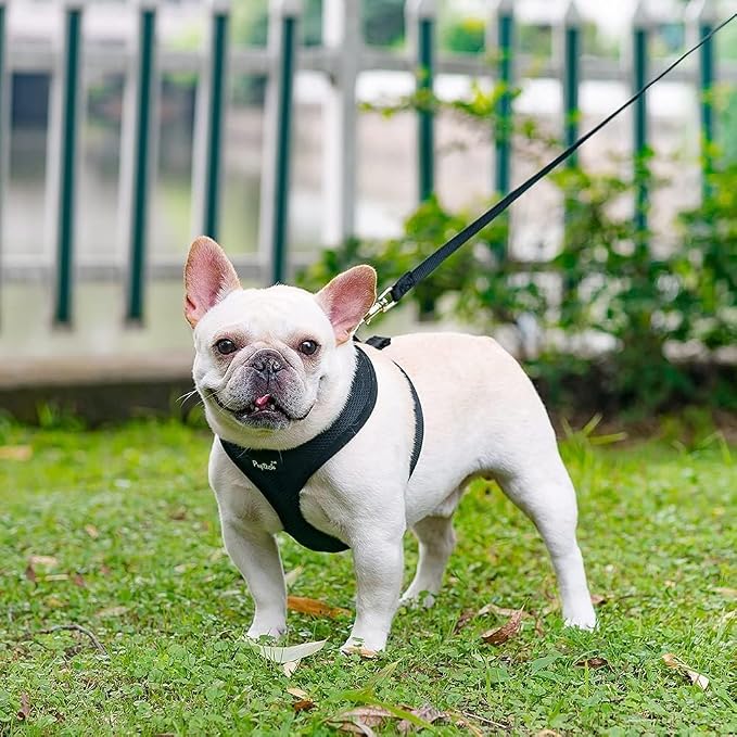 PUPTECK Soft Mesh Dog Harness and Leash Set Pet Puppy Cat Comfort Padded Vest No Pull Harnesses, Solid Black, XS