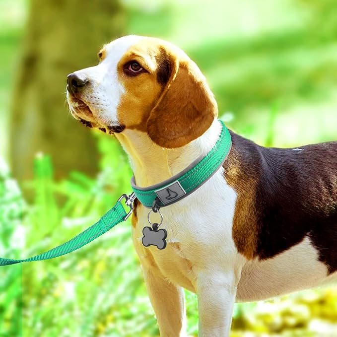 Joytale Dog Harness (Chest: 12-28"), Dog Collar and 6FT x 1" Wide Dog Leash Set, Reflective Neoprene Padded Collar and Leash, and Adjustable Soft Harness with Handle for Dogs
