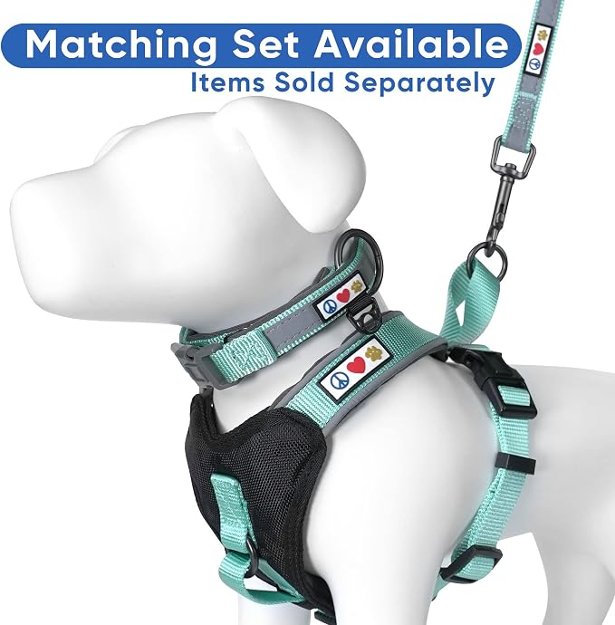 Pawtitas Reflective Padded Dog Harness for X-Small Dogs – Adjustable Puppy Step-in Vest | Fits Chest 14–18 in | No Pull Training Harness | XS | Teal