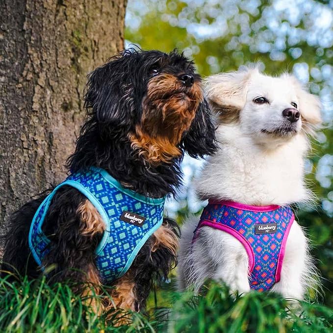 Blueberry Pet Southwestern Tribal Lozenges Navy Blue Dog Harness Vest, XS, Adjustable Harnesses for Puppies Small Dogs