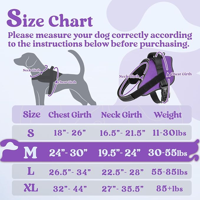 rabbitgoo No Pull No Choke Pet Vest, Adjustable Pet Harness with Molle | Medium Sized Dog Harness, Reflective, Easy Wearing with One Buckle for Walking, Training, Purple, M