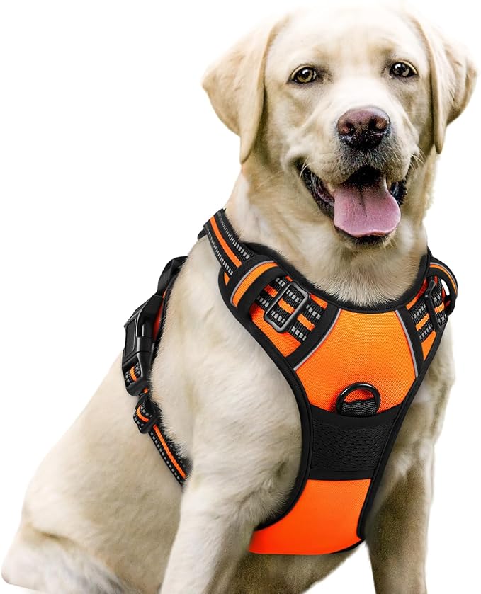 rabbitgoo Dog Harness, No Pull for Large Dogs with 2 Leash Clips, Pet Vest | No Choke with Handle, Adjustable Soft Padded, Reflective, Easy Control for Walking, Orange, Large