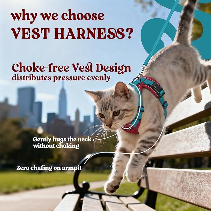 rabbitgoo Cat Harness and Leash Set, Escape Proof Vest, Red & Teal | Soft Breathable Mesh, Easy Adjustable Fit, Snap Buckles, Sturdy Clip, Reflective Strips, for Medium to Large Cats Walks, M