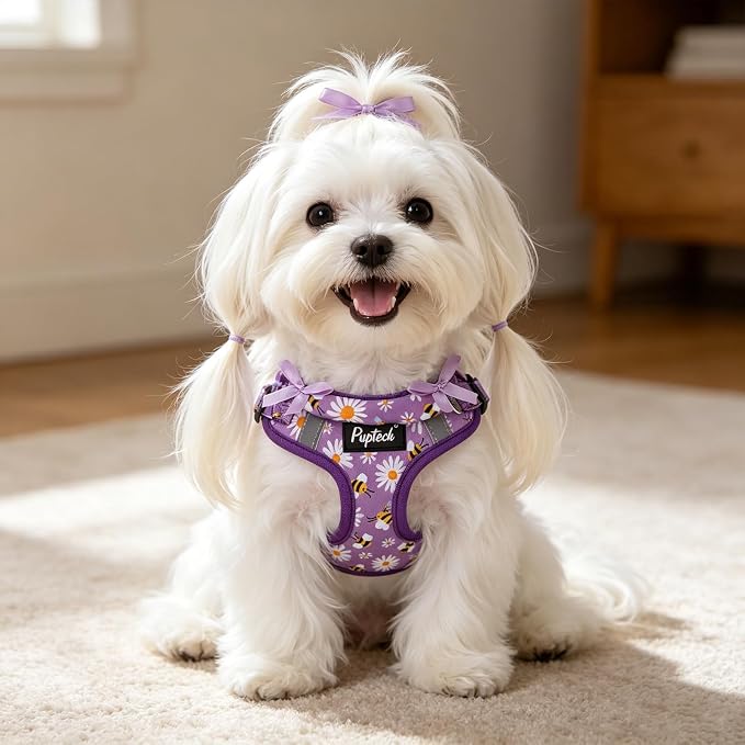 PUPTECK Dog Harness and Leash Set Small Sized, Step in No Pull Adjustable Puppy Cat Harness Reflective Pet Vest