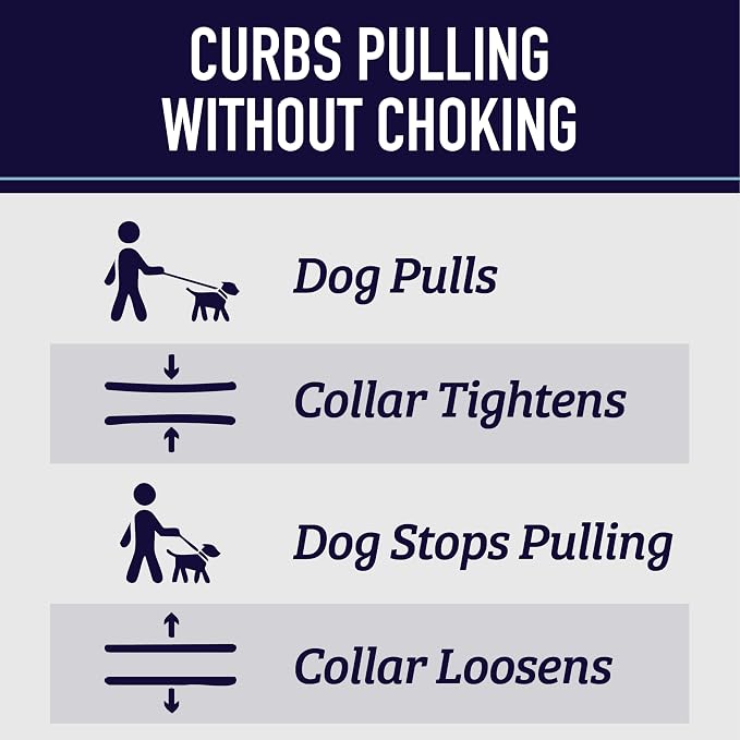 Leash Boss Martingale Collar for Dogs - Steel Chain | Reflective Nylon Dog Collar for Large Dogs, Medium and Small Dogs | No Pull Pet Training Collar Small