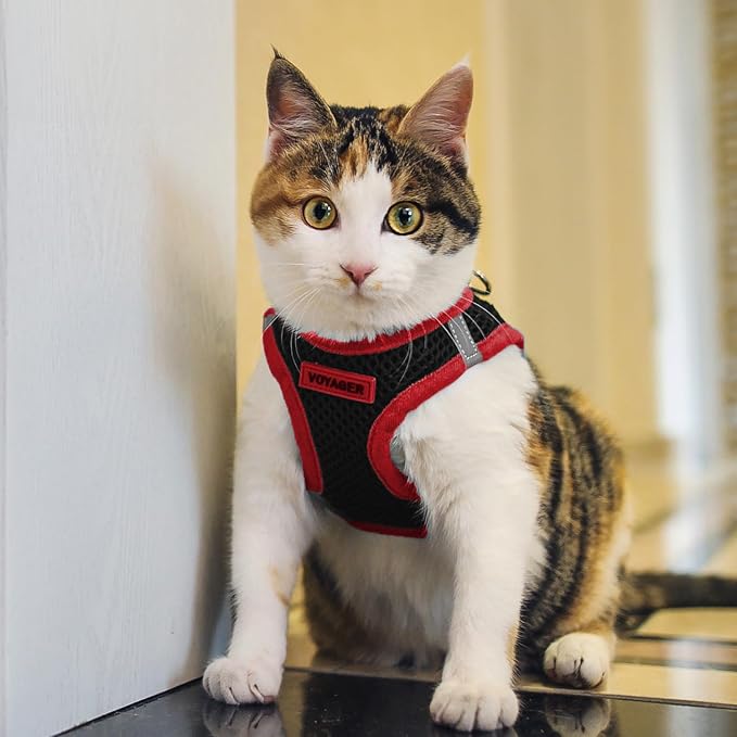 Voyager Step-in Air Dog Vest Harness - Black/Red Trim, X-Small | 13 - 14.5" in Chest, Reflective Bands, All Weather Breathable Air Mesh, Cats Compatible, Lightweight, Fast Drying